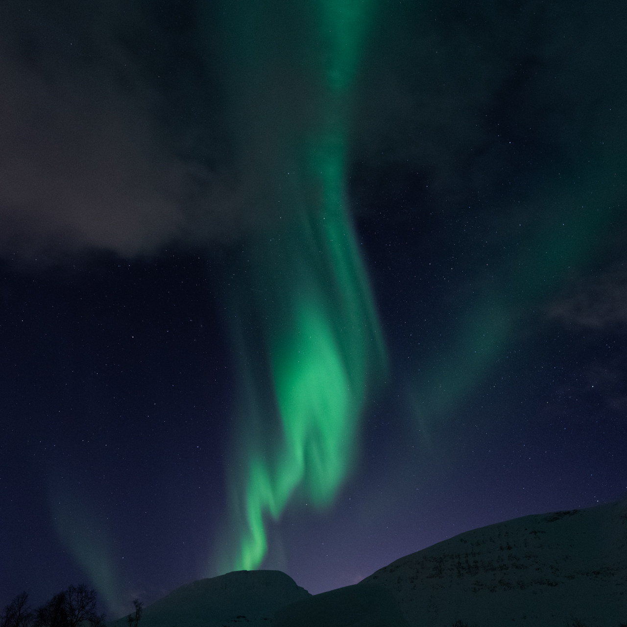 
Northern Lights
