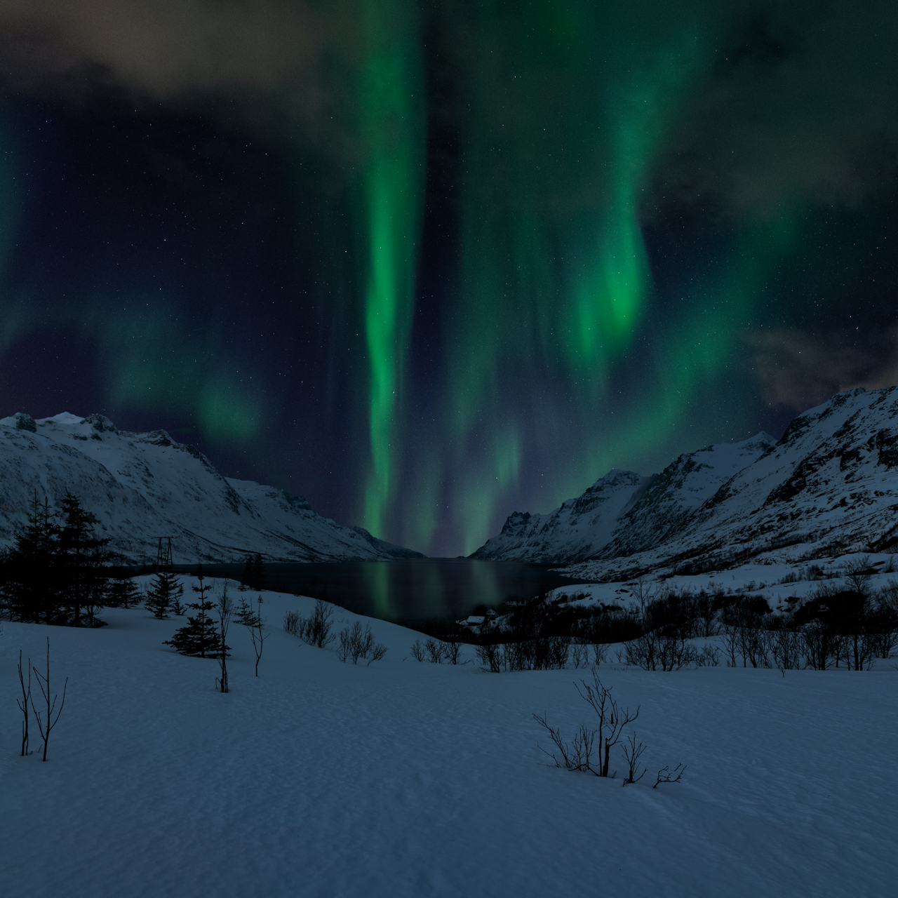 
Northern Lights Norway
