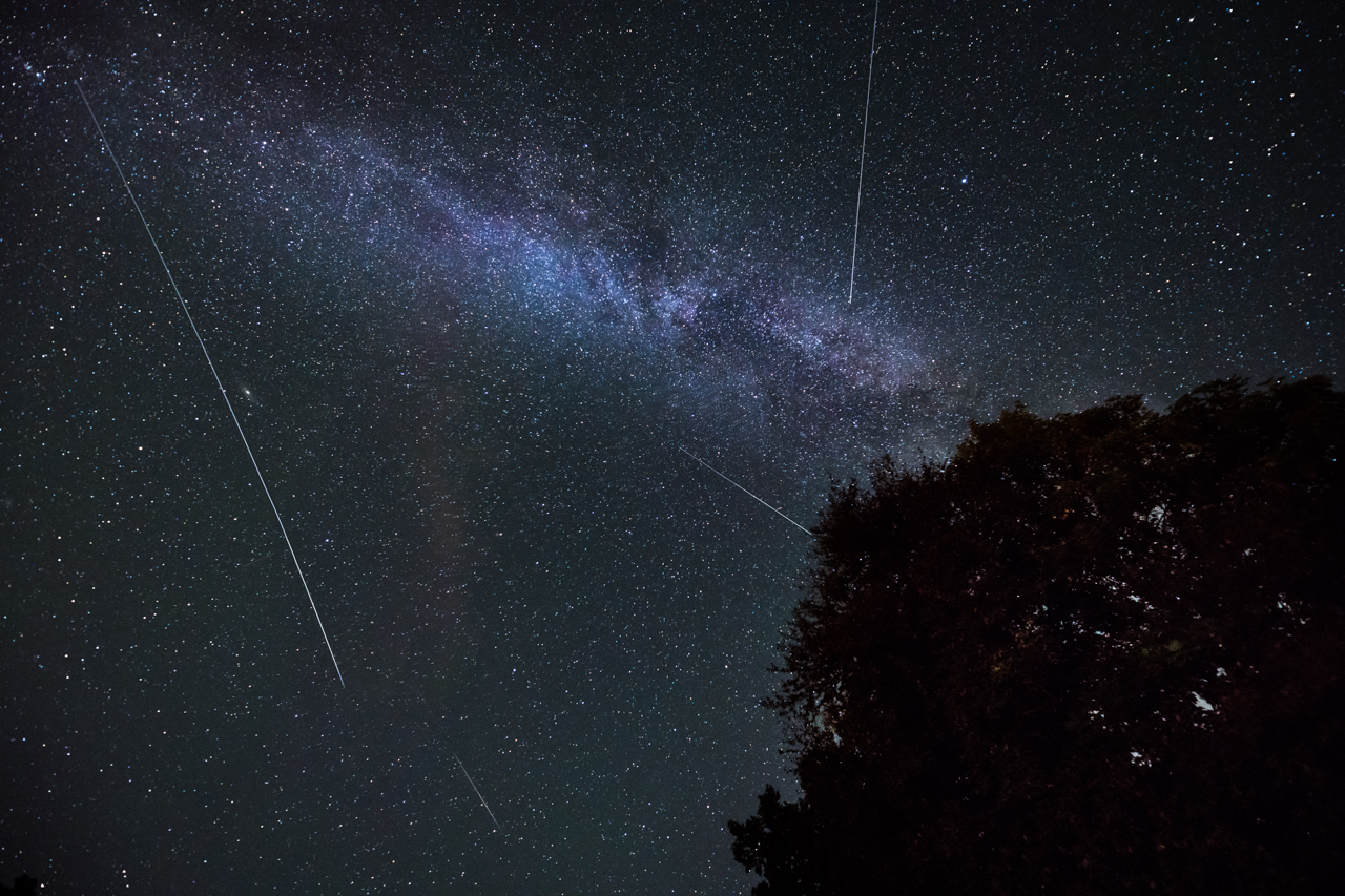 
Perseids
